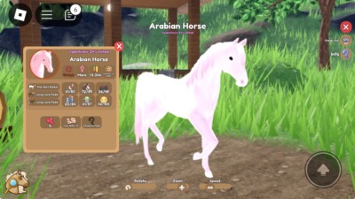 Wild Horse Island Pink Heart Arabian