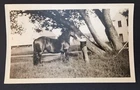 Antique Photograph Man Tying Horse to Tree Cowboy Western Velox 4.5" x 2.75"