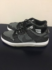 nike sb zoom dunk low elite qs medicom bearbrick