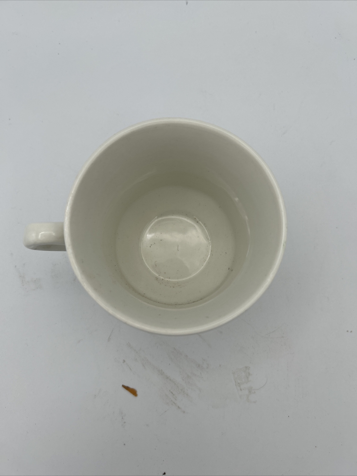 Picture 11 of 11