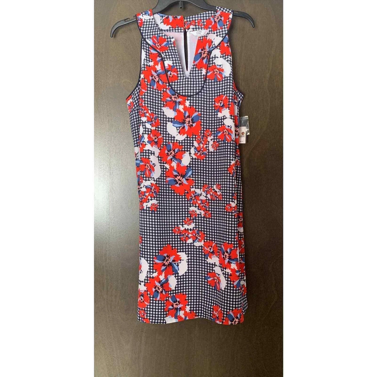 Crown and deals ivy gingham dress