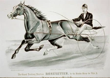 Grand Trotting Stallion Bonesetter,Brooks Horse,Pilot Jr.,c1881,Currier & Ives