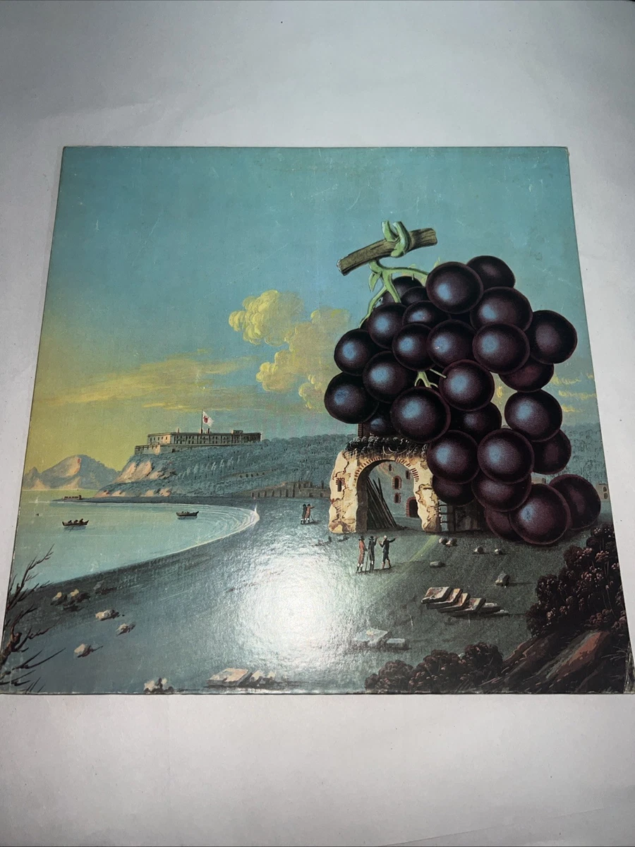 【米国原盤MONO!】MOBY GRAPE モノラル アナログ レコード Vinyl Records Moby Grape for sale | eBay
