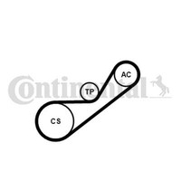 Continental Ctam Keilrippenriemensatz FüR Renault Clio II Bb_ Cb_ Kangoo