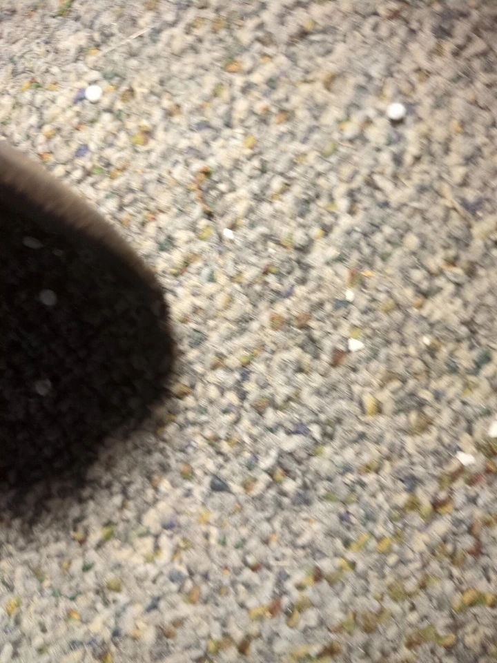 BMW R100RT R80RT R100 R90 R60 Airhead Starter Cover plástico Foto 2 de 3