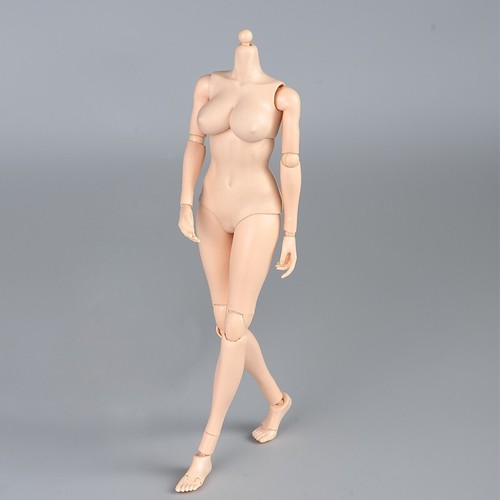 US 1/6 Woman Big Breasts Half-Seamless Female Movable Figure Pale Body Model Toy - Picture 21 of 23