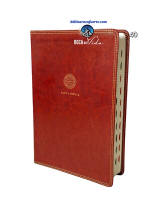Sanra Biblia RVR.1960 tamaño grande edición para notas piel café con índice 