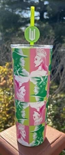 Wicked Tumbler Elphaba and Glinda With Lid and Straw Pink & Green 24oz Brand NEW