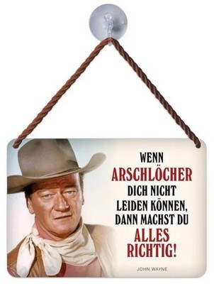 Blechschild 17 x 12 cm John Wayne: Wenn Arschlöcher dich nicht leiden können