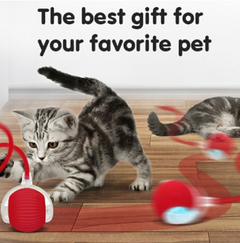 Yopoll interactive pet toy ball