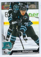 2024-25 Upper Deck AHL #94 Danil Gushchin