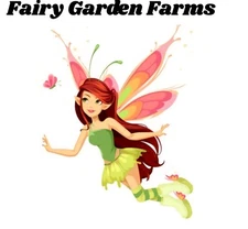 Live Sm 5" Oriental Arborvitae Hedge Tree 3" Pot MORE U BUY/LESS PER PLANT