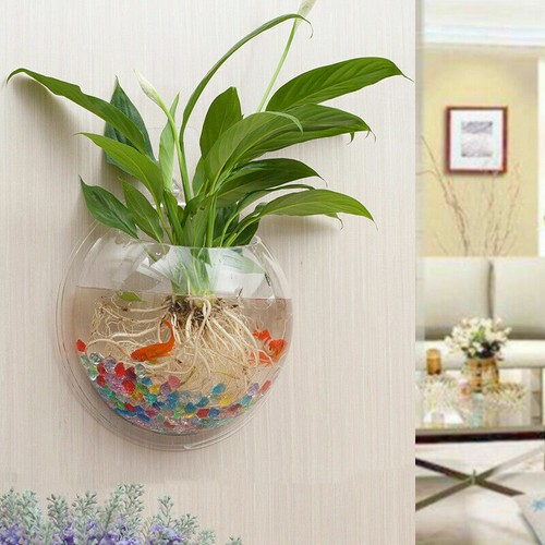 Acrylic Wall Mounted Hanging Fish Bowl Aquarium Tank Goldfish Hanger Plants Arts - Picture 7 of 12
