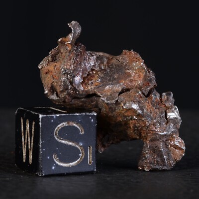 9,76g NWA 15738 Mixed Meteorit Top - Einzelpallasit