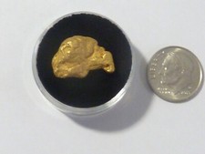 Genuine Gold Nugget 7.968 Gram From Alaska Looks Like Eagle Head Very Rare 2850.76 per troy oz