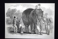 Modellazione di figure in avorio da elefante,Berhampur,India Incisione del 1851
