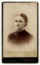 Antique Cdv Circa 1880s Gilbertson Gorgeous Lady Braided Hair Steubenville Oh