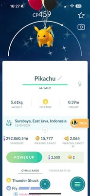 Glänzendes ROTES BALLON PIKACHU!  Jetzt wenn registriert oder 30 Tage!