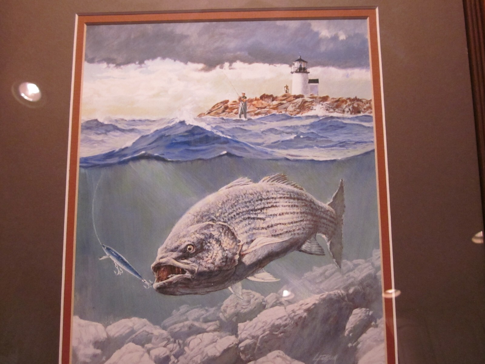 VINTAGE RAPALA STRIPED BASS FISHING FRAMED LITHO PRINT LURE SURF CASTING PLUG eBay