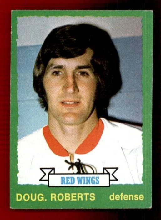1973-74 O-Pee-Chee #207 Doug Roberts EXMT