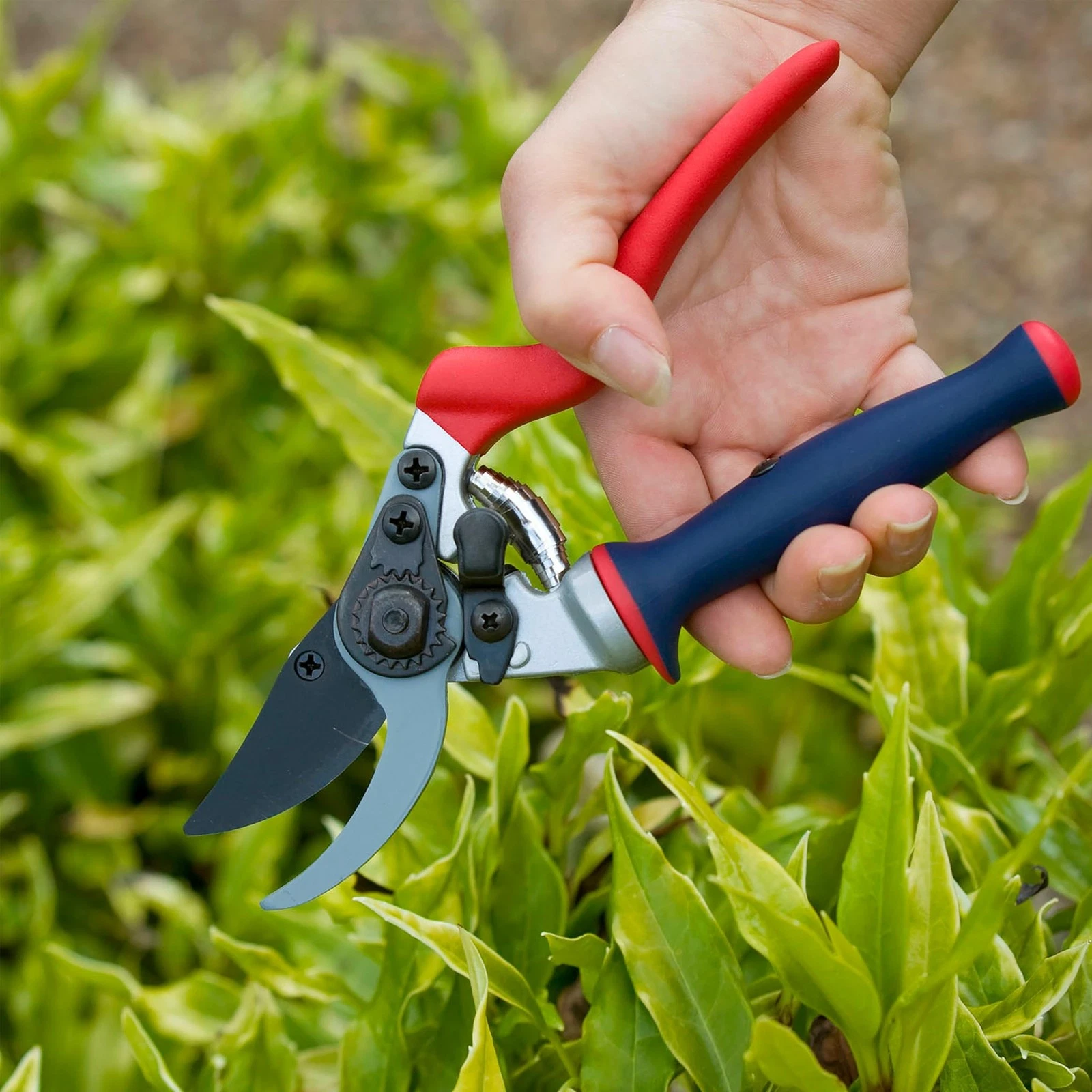 Spear & Jackson Razorsharp Bypass Pruners - Thumbnail 5