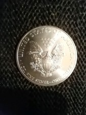 Genuine 2013 American Eagle 1oz Silver Coin In plastic case.