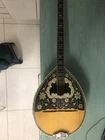 Picture 11 of 13