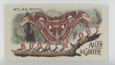 2020 Topps Allen & Ginter's Buggin' Out! Minis Atlas Moth #MBO-7 9r7