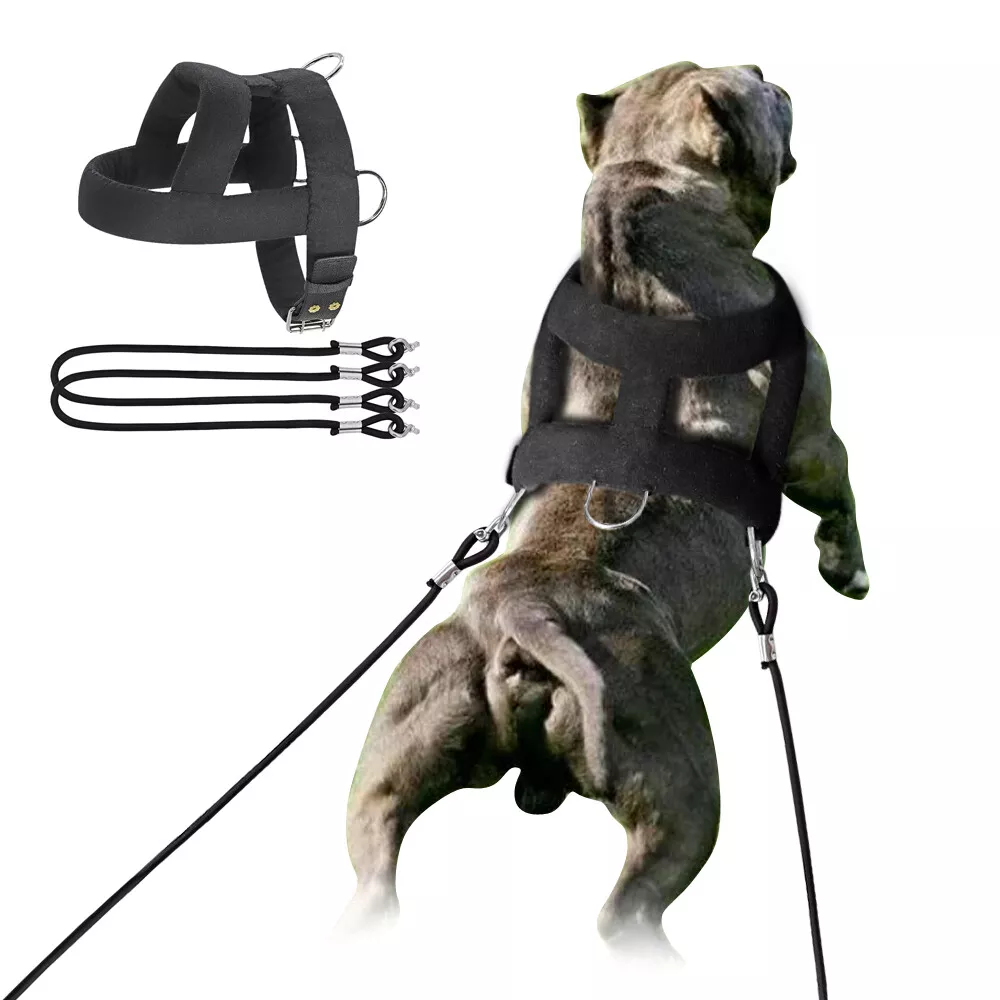 No Pull Dog Weight Pulling Harness Heavy Duty Rubber Lead for Large Dog Pit Bull