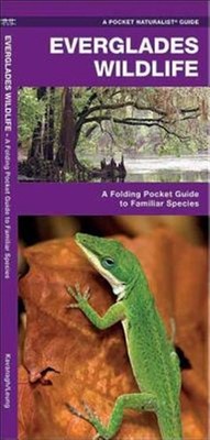 Everglades Wildlife : An Introduction To Familiar Species, Paperback by Kavan...