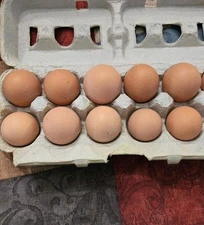 12 Rhode Island Red Hatching Eggs PLEASE READ DESCRIPTION BEFORE PURCHASING EGGS