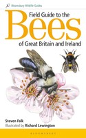 Field Guide To The Bees Of Great Britain And Ireland | Steven Falk | Englisch