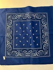 Lot of 10 -100% Cotton Paisley Print Bandana Face Cover Head Warp Headband NEW