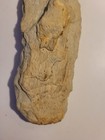Foto 7 di 12