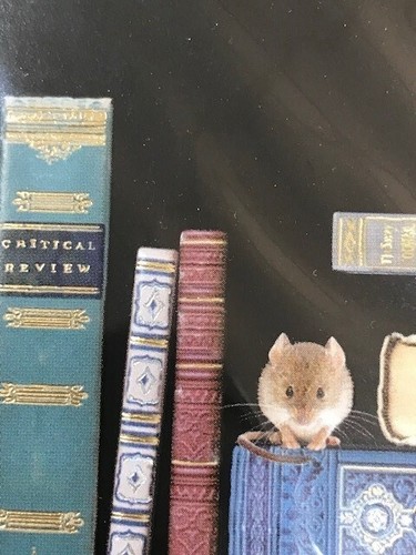 Bug Art Greetings Card: "Bookshelves" - Graduate, bookworm - FREE 1st UK p/p - Picture 6 of 12