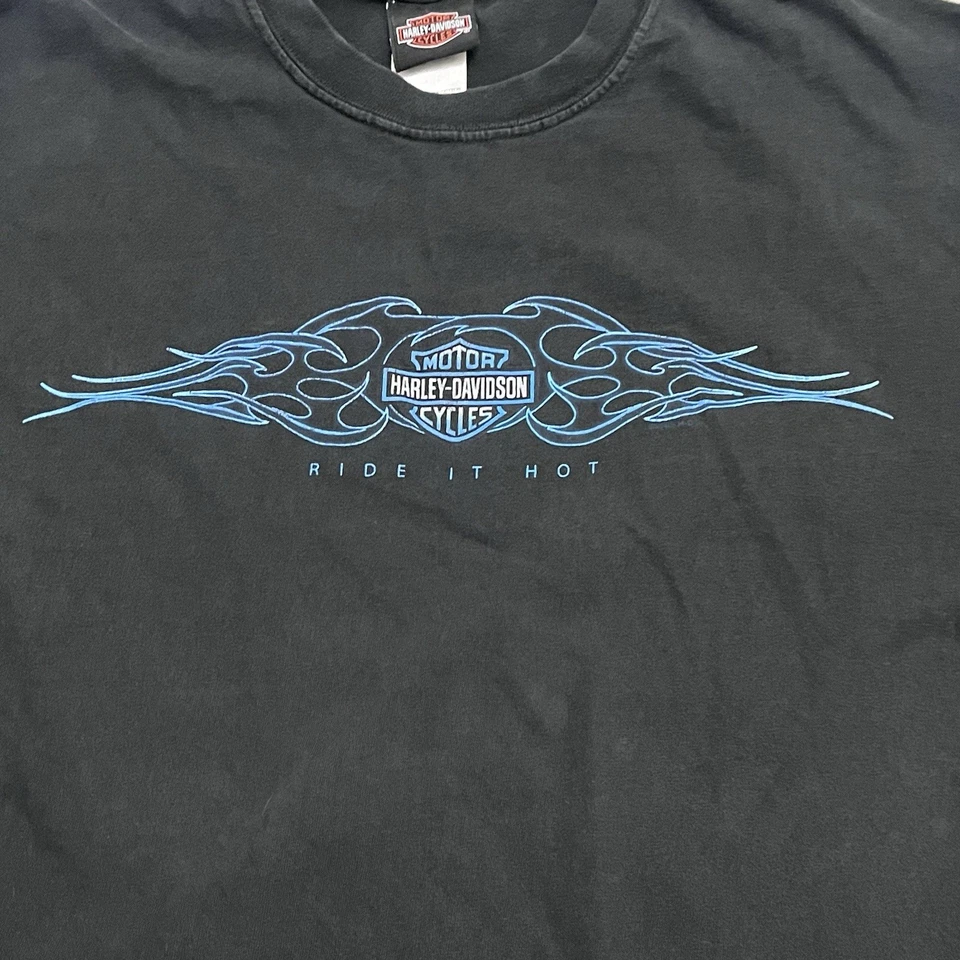 Camisa De Colección Harley Davidson Manga Larga Flames Ride it Hot Biker XL Redwood Foto 2 de 4