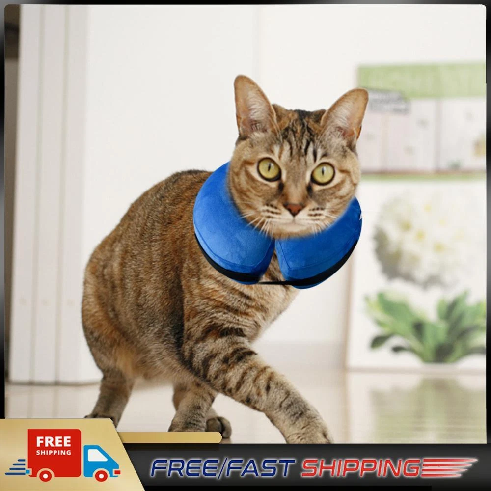 Inflatable top cat cone