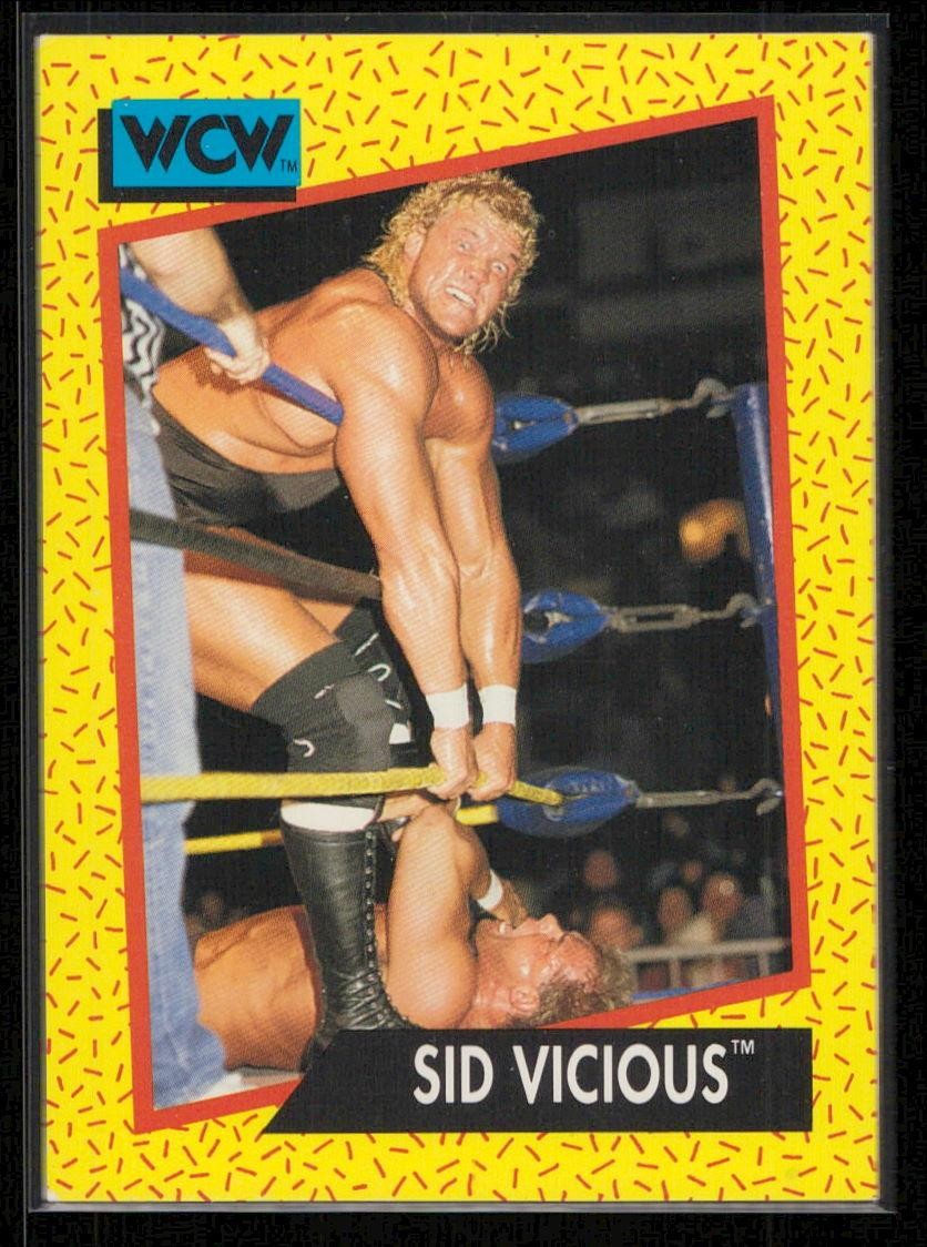 Sid Vicious 1991 Impel WCW #27