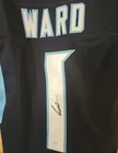 NFL Signed Jersey Lot