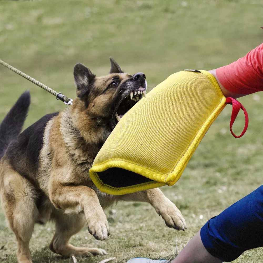Large Dog Training Bite Sleeve for Police Sheriff Schutzhund