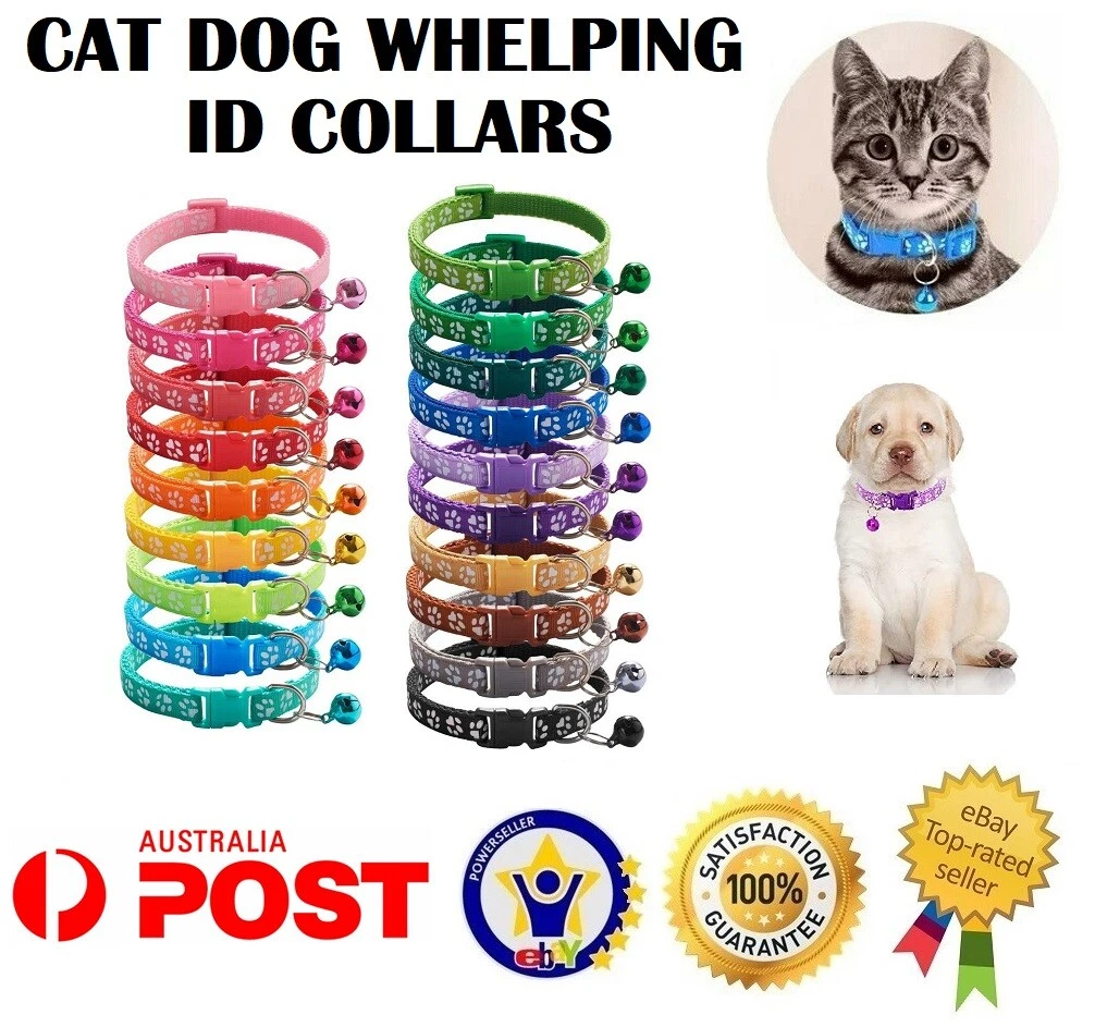Whelping hotsell collars australia