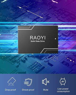 RAOYI 128GB Internal SSD 2.5'' SATA III 6Gb/s Solid State Drive High Speed Black