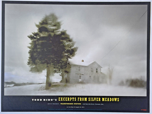 TODD HIDO - SIGNED SILVER MEADOWS LIMITED EDITION PHOTO PRINT SET MAGNUM - Picture 9 of 10