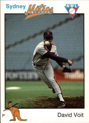 1989-90 Futera Sydney Metros #NNO David Voit