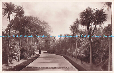 R732682 Penzance Palm Avenue Morrab Gardens Valentine RP
