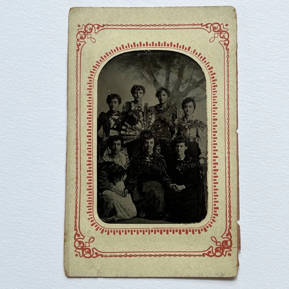 Antique Tintype Photograph Beautiful Young Women Teens Affectionate Ferns & Fan - Image 2 of 4