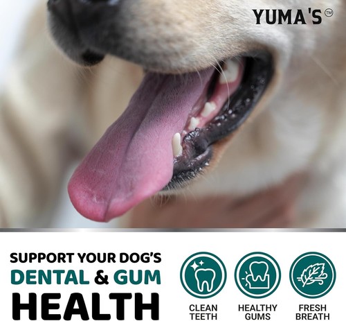 ADVANCED DOG DENTAL POWDER, BREATH FRESHENER, DOG TEETH CLEANING POWDER FOR DOGS - Picture 4 of 7