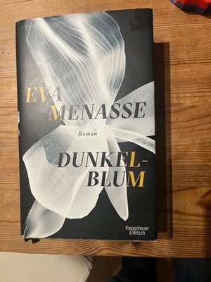 Dunkelblum: Roman von Menasse, Eva | Buch | Zustand gut