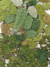 OO Gauge Trees Variety Pack Mixed woodland model trees 5cm - 10cm