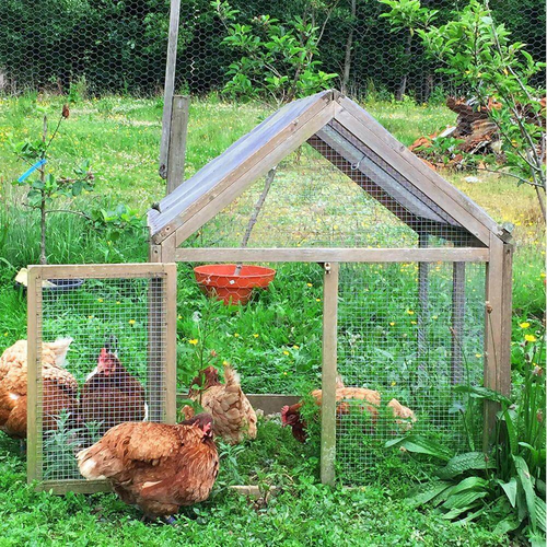 Schermo rete metallica in tessuto zincato 16" x 20' 1/4 pollici 23 gauge per chic - Foto 7 di 12